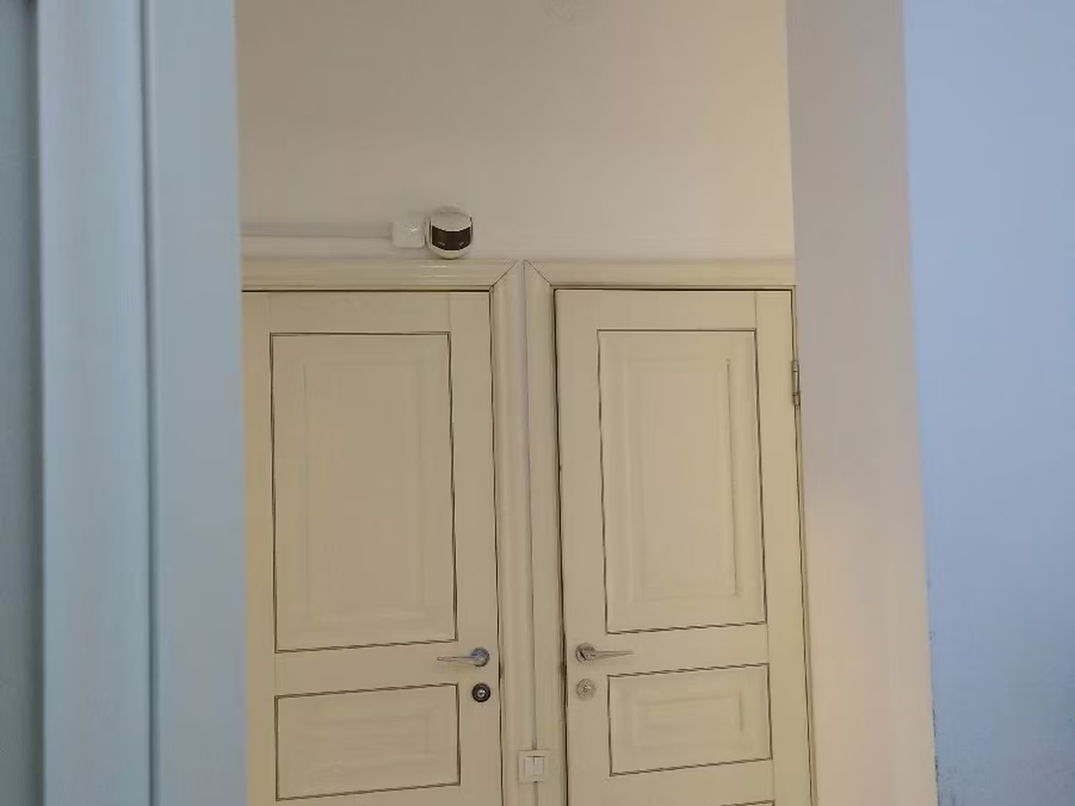 Линкольн овца