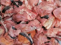 Закупаем субпродукты, рубец, фарш. Говядина, баранина, конина, птица. Для кормления собак. Viber. — фото 1