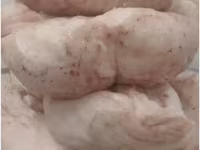 🐑 Продаётся свежий бараний курдюк Натуральный, свежий и качественный — фото 2