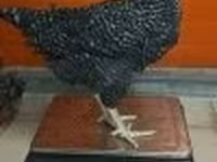Dominante — foto 3