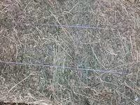 Продам сено — Foto 2