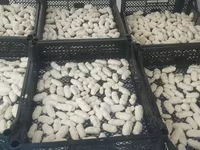 Натуральные молочные продукты сузма творог каймак айран домашний козье — фото 2