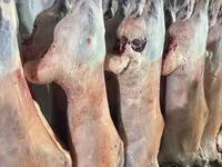 Туши баранины на крюках - Цельные охлаждённые туши баранины — फ़ोटो 4