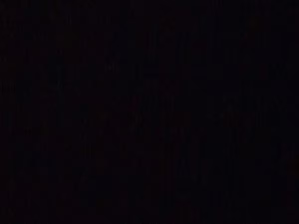 Авиленья-негра Иберика