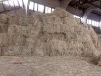 Продам тюки сена — foto 2