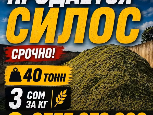 Силос на продажу. - Объем: 40 тонн - Цена: 3 сома за кг - Срочно