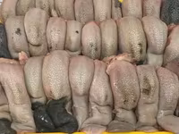 Баранина, конина субпродукты куплю на постоянной основе. Viber WhatsApp Telegram. — 照片 5