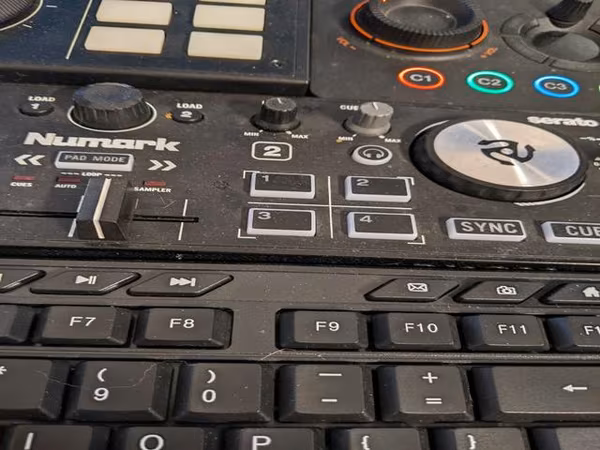 Азербайджанский зебу