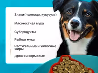 Корм для собак эконом-класса Лай 10кг — foto 2