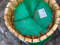 Producție specializată pentru recoltarea și producere a strugurilor ! — фото 4