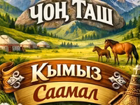 Саамал, кымыз
1 литр 350 сом
доставка кылса болот — фото 2