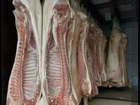 СВИНИНА ОПТОМ В ПОЛУТУШАХ - Прямая поставка свежей продукции. - — foto 3