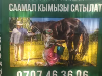 Кымыз из Кочкорского района - Натуральный саамал кымыз с высокогорных — الصورة 4