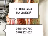 Туша, Самовывоз — фото 3