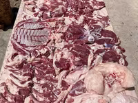 公羊, Rhon sheep — 照片 7
