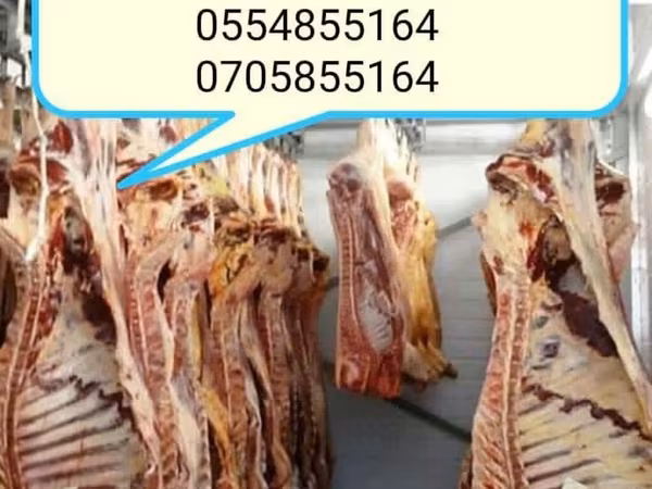 Бык, Коровы