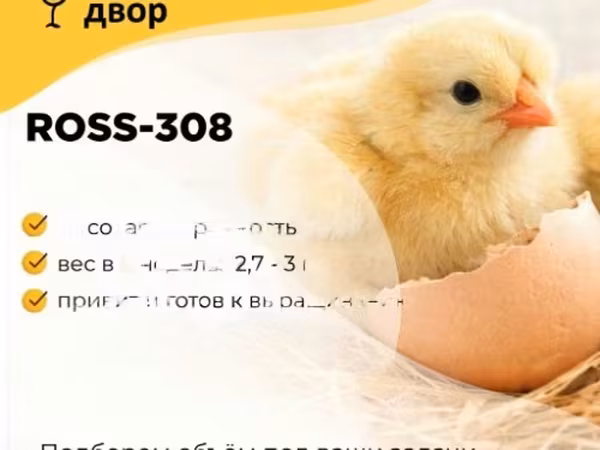 Росс-308