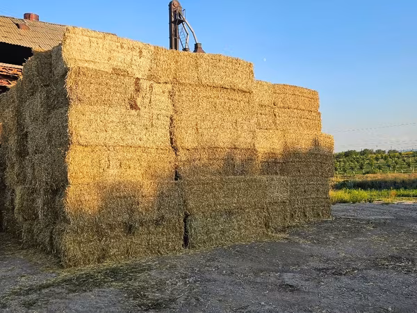 Baloți din paie orz