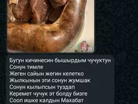 Чучук, карын карта, казы, эт, куйрук, жилик, говядина, баранина — фото 5