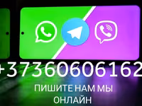Рубец, стомак, желудок. Говяжий, бараний. Закупаем на постоянной основе. Возможен самовывоз. Viber. — фото 3