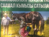 Кымыз из Кочкорского района - Натуральный саамал кымыз с высокогорных — الصورة 2