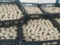 Натуральные молочные продукты сузма творог каймак айран домашний козье — фото 1