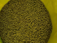 Vindem mincare pentru sinsila granule de 2.5mm produs in Ungaria 16lei(chinchila,sinsila,шиншила) — Foto 2