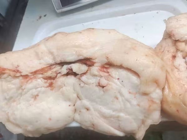 Закупаю курдюк оптом в любых обьемах город токмок
