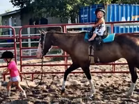 Yegua, American paint horse — foto 8