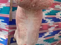 公羊, Rhon sheep — 照片 4