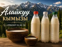 Кымыз, саамал, Оптом, Бесплатная доставка, Платная доставка — фото 1