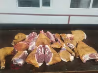 КОЙ УЙ ЖЫЛКЫ СОЙОБУЗ — фото 1