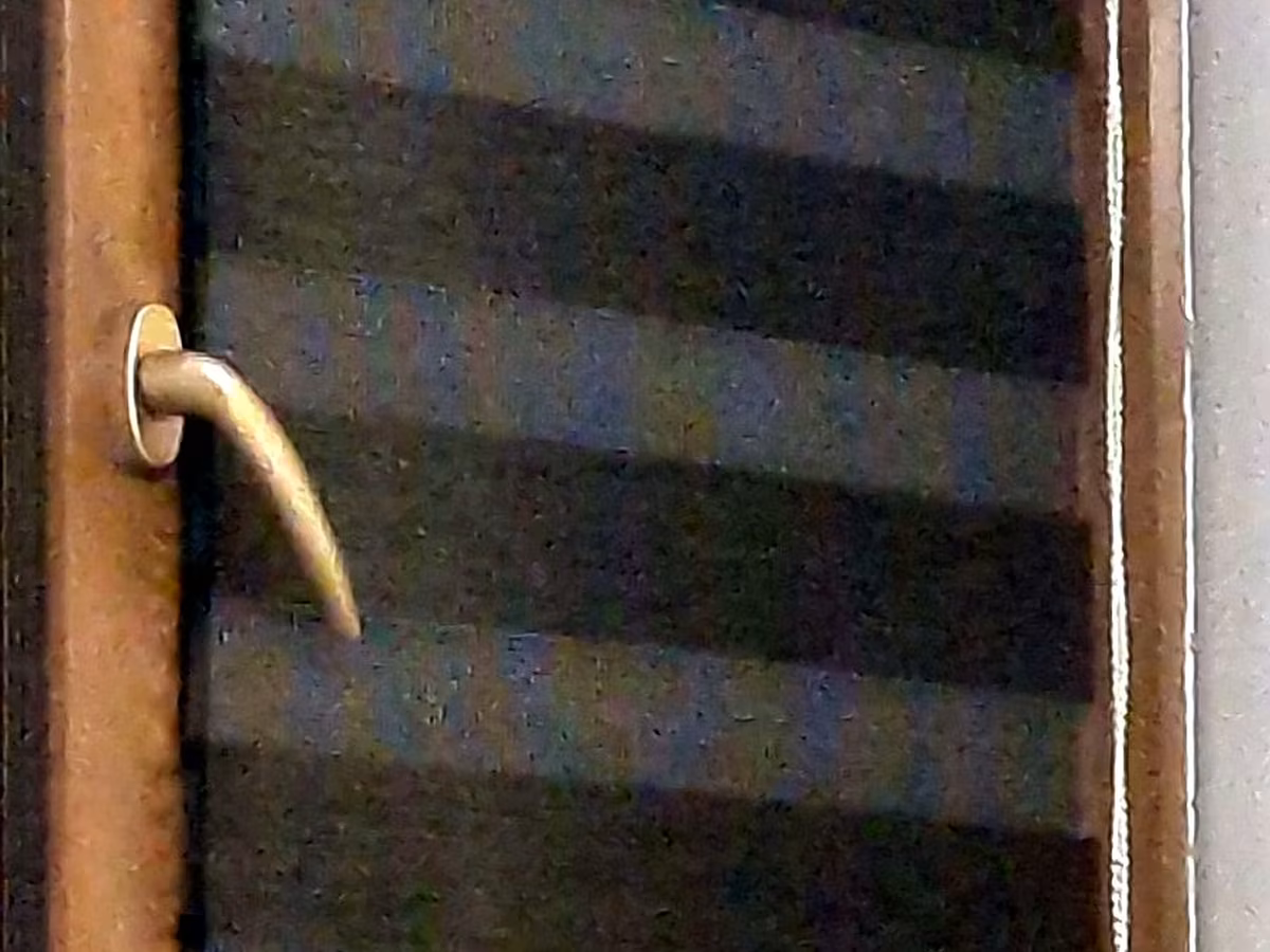Cast cow
