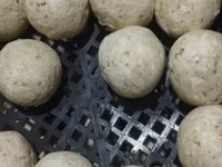 Натуральные молочные продукты сузма творог каймак айран домашний козье — фото 3