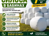 Силос в бабинах из свежей кукурузы - Питательный и вкусный корм — фото 1