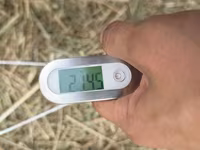🌾 Сено после семенника 🌾 Продам сено, после обмолота. кастра Без — фото 4