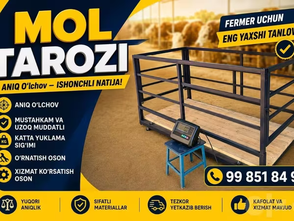 Chorva mol tarozi bor sotiladi