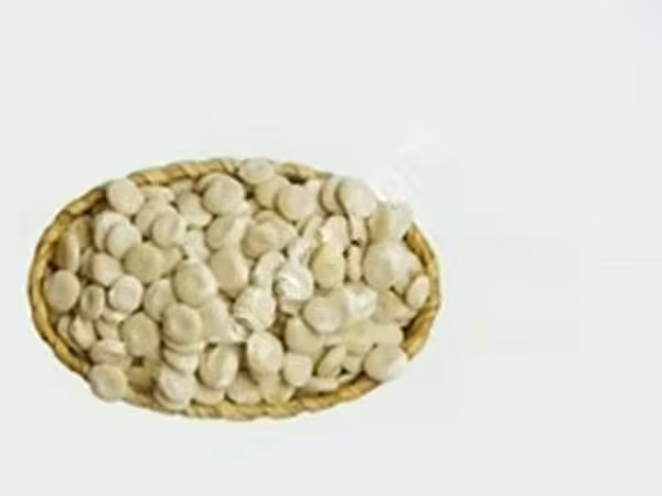 Крупная партия семян люпина для животных