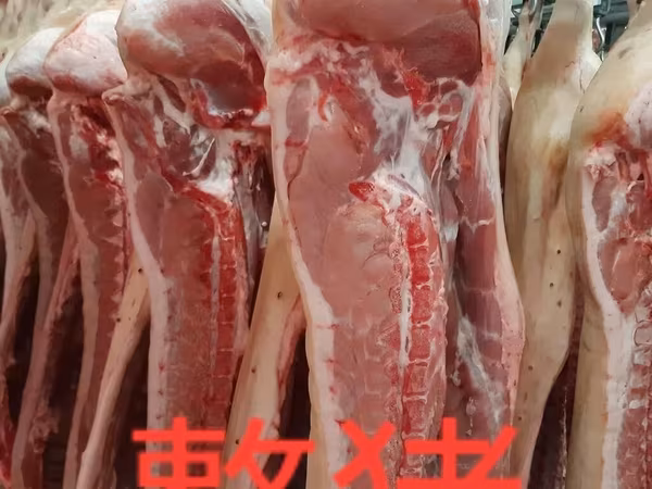 Свинина оптом — полутуши и разделка 批发猪肉 整猪 猪胸肉 猪耳 猪腿肉 猪胃肉 猪心 猪舌 -