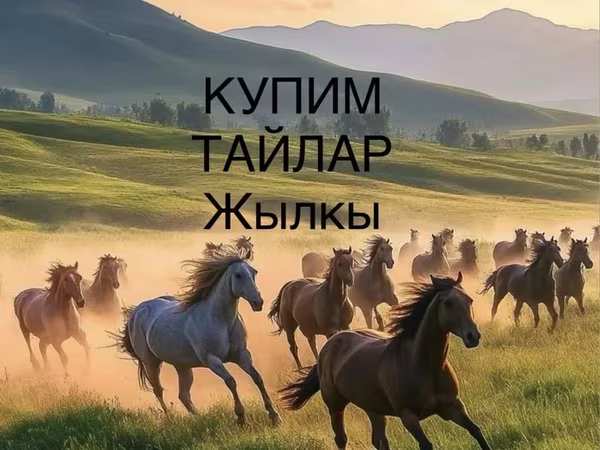 Конь, Породы лошадей — Казахстан