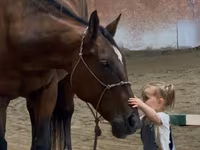 Mare, Quarter Horse — photo 4