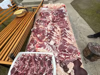 公羊, Rhon sheep — 照片 8