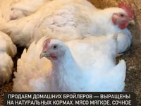 Продаем домашних бройлеров — выращены на натуральных кормах с особым — фото 1