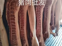 Осоо ПромАгро Оптовая продажа мясо свинины в пол тушахСубпродукты — Foto 2