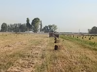 Пресстелген Беде Люцерна сатылат подпокровный арпасын чопко чааб — Foto 2