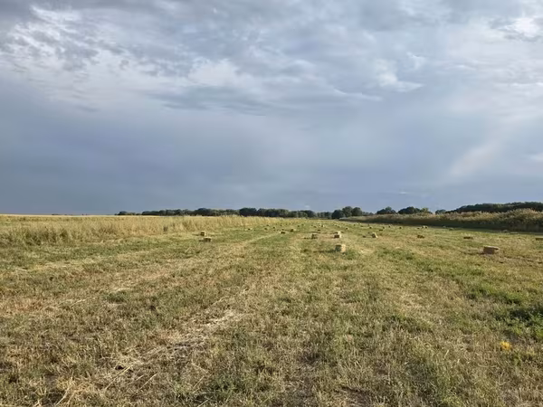 🌾 Сено после семенника 🌾 Продам сено, после обмолота. кастра Без