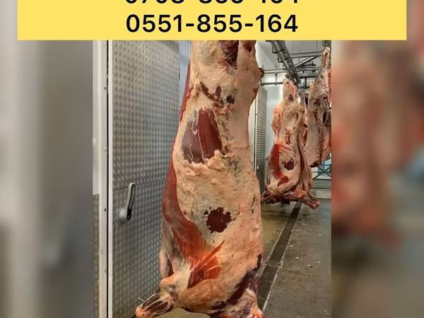 Бык, Коровы — Кыргызстан