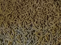 Granule pentru iepuri de calitate superioara.Edineț.facem livrare — الصورة 2