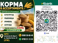 Корма в ассортименте (оптом и в розницу) Ассортимент: - Кукуруза - — фото 2