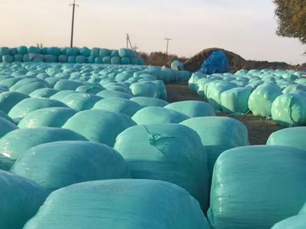 Силос зерно очень много брикет доставка есть по городу бесплатно
